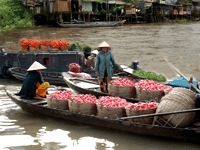 Mekong, fruits tropicaux, transport de fruits,