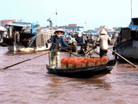 Mekong, la vie sur l'eau, sampans sur le Mekong, transport des fruits, 